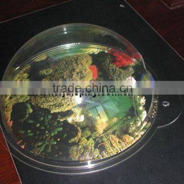 Wall Mount Fish Bowl Tank C1015475