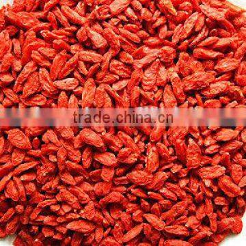 manufacturer supply sun dried goji berry/fresh red wolfberry