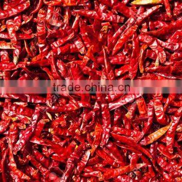 spices/red chili manufacturing india