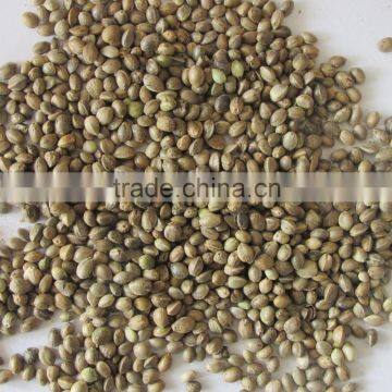 Private Label Organic Hulled Hemp Seed,Hemp Seeds,Shelled Hemp Seeds photo-6