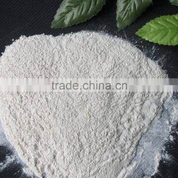 Bulk Packaging and Common Cultivation Type Onion Powder photo-5