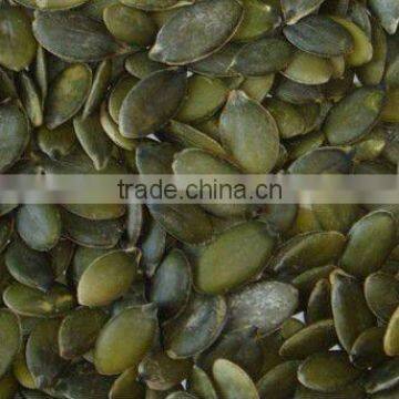 GWS Pumpkin Seeds Kernels