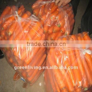 fresh carrot harvest from Shandong, China(80-150g)(150-250g up)