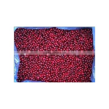 Frozen Lingonberry