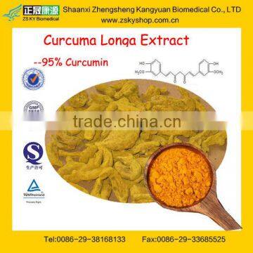 GMP Factory Supply Pure Curcumin(Turmeric Oleoresin)