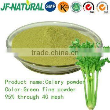 Celery powder GMP factory