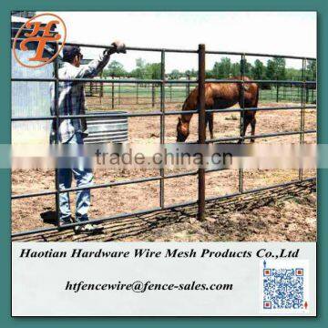 heavy duty temporary galvanized wire welded steel cattle corral panels/fence panel for sale