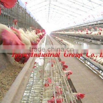 poultry farming A type cage in Nigeria/Africa