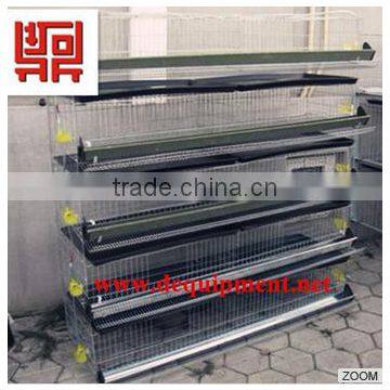 quail cage H type 5 tier trade assurance 5 tier or 6 tier quail cage for sale