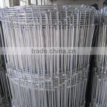 Wire mesh fence for cattle,horse, sheep,poutry and other animal and poutry(Mesh fence-D)