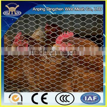 Cheap Galvanized and PVC coated Steel Wire Mesh for Chicken Coop/Chicken wire roll