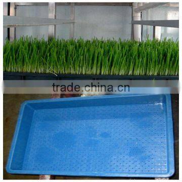 Lowest Price Soya Bean Sprouting Machine With Best Service photo-6