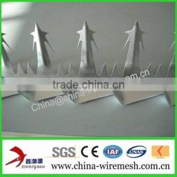 Galvanized Steel Wall Spikes / Anti-climb Spikes/ Security Spikes (factory ) photo-4