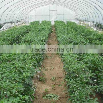 High Quality Tunnel Greenhouse About Vegetable Farming Equipment photo-5