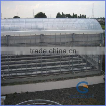 modern greenhouse for agriculture