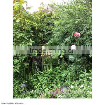 Strong Metal Frame Round Arch Garden Mirror photo-2