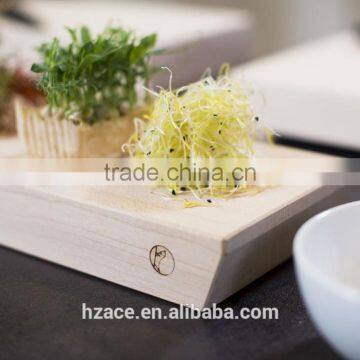 Sushi Board, Gift for Sushi Fans, for Tapas, Sushi Tool, for Lovers of Pleasure, to Delight Fans, Sushi Utensil photo-2