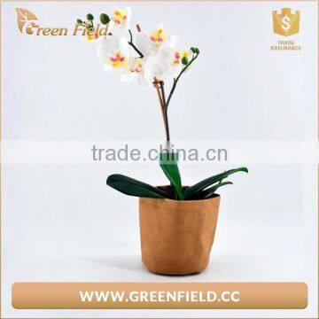 Vegetable Grow Pots Garden Bag Planter Garden Kraft Paper Grow Bags photo-3