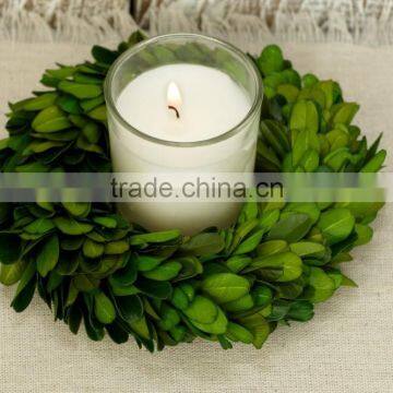 8'' Preserved Boxwood Wreath Wholesale photo-4