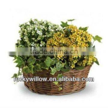 Environmental beautiful willow flower pot rattan modern basket