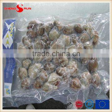 Frozen Boiled V-packed Baby Clam photo-5