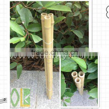 Decoration short tonkin bamboo cane/pole