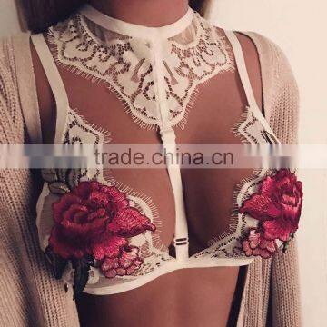 Newest Ladies Fancy Sexy Bra Design Wholesale Embroidery Transparent Lace Bralette Tops photo-2