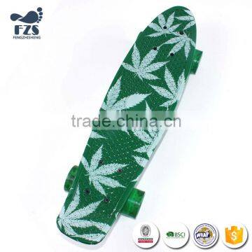 HSJ255 China Factory Customized Skateboard Deck or Logo Plastic Skate Board Fish Board photo-6