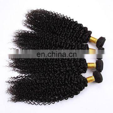 100% Virgin Brazilian Hair Virgin Brazilian Jerry Curl Hair Weave Remy Virgin Hair Extension photo-2