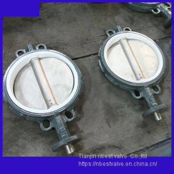 D071XP-10C PN10 Pressure Standard WCB Butterfly Valve DN150 With Bare Stem photo-2