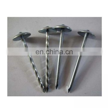 roofing nail galvanized finished umbrella head twisted shrank BWG9*2.5''