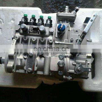 4BTA3.9-C100 Engine Injection Pump C4994909 with CRSV450...1100PB7C398R