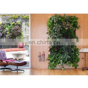 Free Sample Grow Bags Plant for Garden Use photo-6