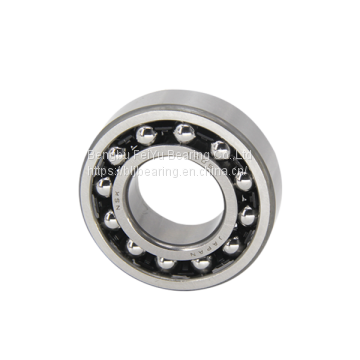 Self Aligning Ball Bearing 1205