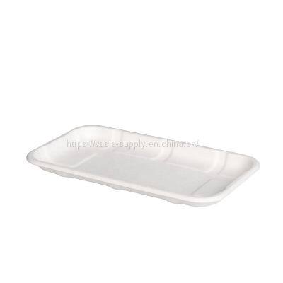 Disposable degradable bagasse Smooth edge 10.4×8.2 inch made from sugarcane pulp bagasse food trays for picnic