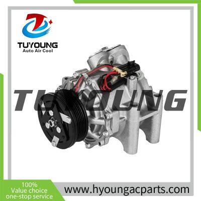 TUYOUNG China factory direct sale auto air conditioning compressor Sanden TRSA12 for Chevrolet Trailblazer/Envoy, 12V, 25825339 TRSA12-4910 15070473,HY-A-3213