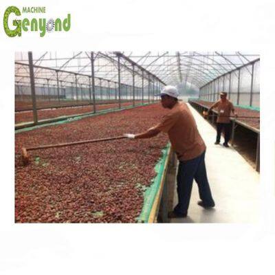 Drying Machine Beans Drying Machine Banana Drying Machine Fruit Drying Equipment Cocoa Dryer