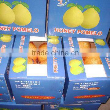 Chinese fresh Honey Pomelo supplier