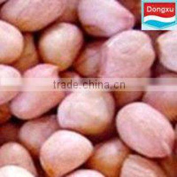 Good Quality Peanut 40/50
