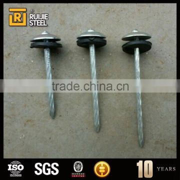 15cm iron nail/Galvanized umbrella head roofing Nails high quality products