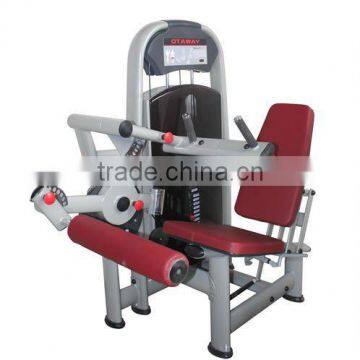 fitness, Seated Leg Curl