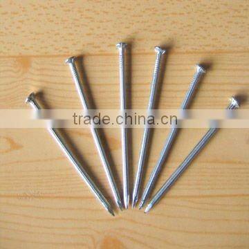 the factory of ordinary nail/common nail for exporting