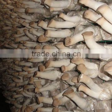 Chinese Polish Wild Dried Straw Mushroom