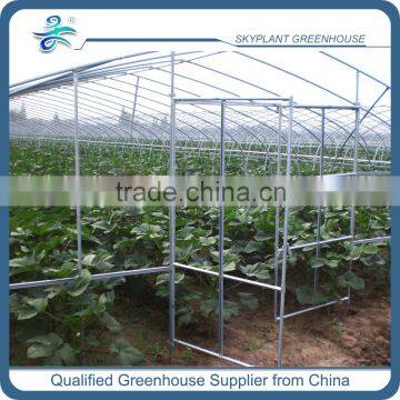 Cheap Plastic Film Greenhouse for Sale photo-2