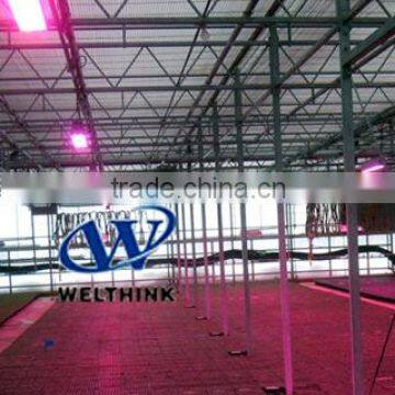 led grow lamp.90W,100W,150W,200W,300W.