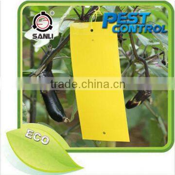 Garden Use Insects Trap Paper