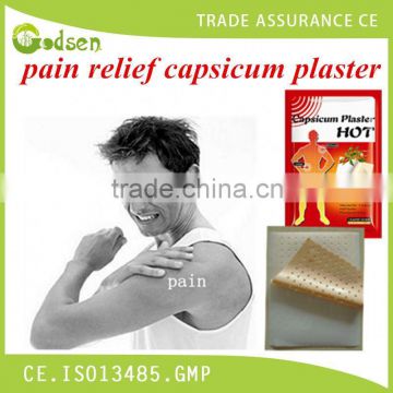 Pain Relief Patches/Pain Relief Plaster