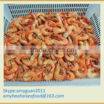 Shrimp (Head on Shell on Cooked)