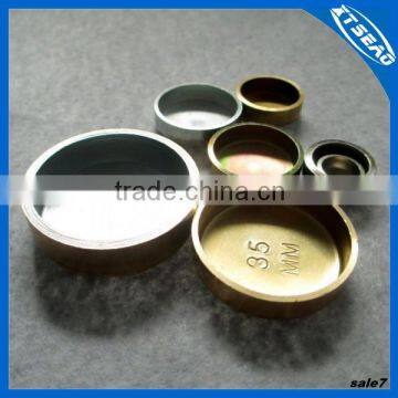 Bowl plug, auto bowl plug,Freeze plug