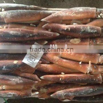 seafrozen argentina illex squid 100-150g